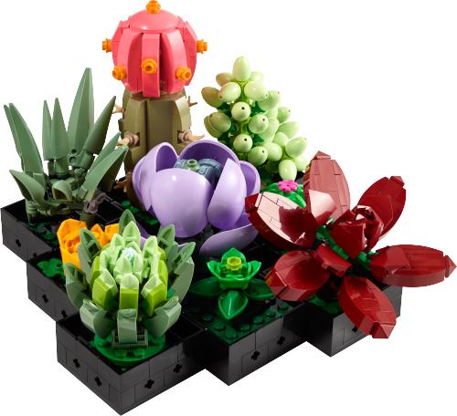 10309 Succulents Sets