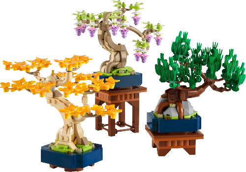 Mini Bonsai Trees Sets