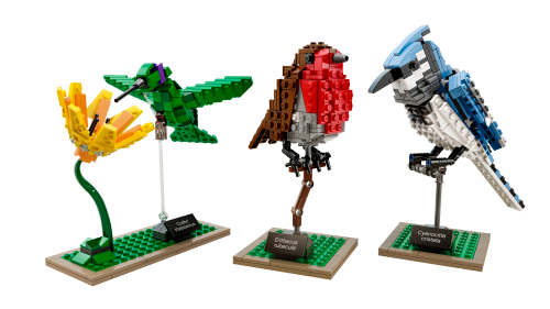 21301 Birds Sets