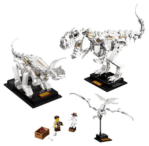 21320 Dinosaur Fossils Sets