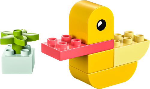 30673 My First Duck Sets