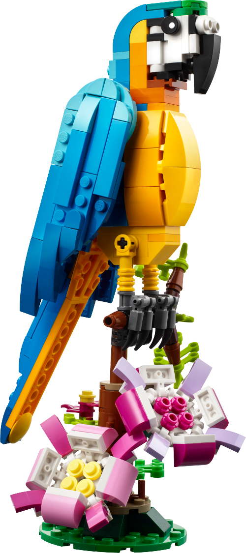 31136 Exotic Parrot Sets