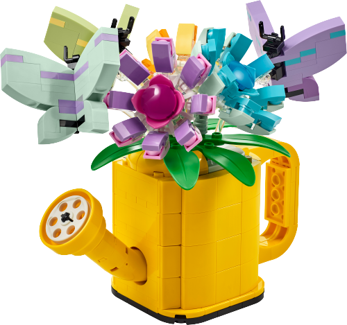 31149 Flowers in Watering Can Sets