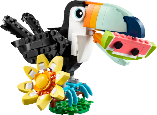 Wild Animals: Tropical Toucan Sets