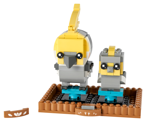 40481 Cockatiel Sets