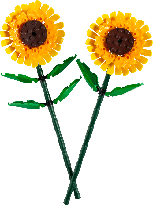 Sunflowers Sets