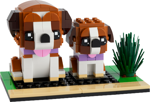 40543 St. Bernard Sets
