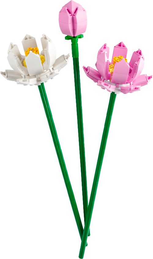 Lotus Flowers Sets