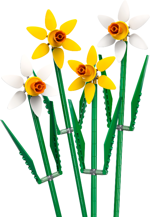 Daffodils Sets