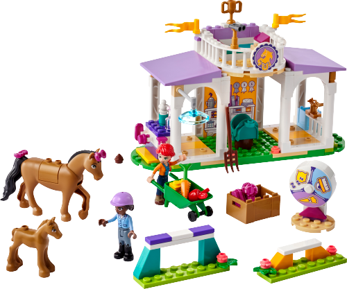 41746 Horse Training Sets