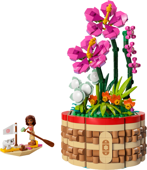 43252 Moana's Flowerpot Sets