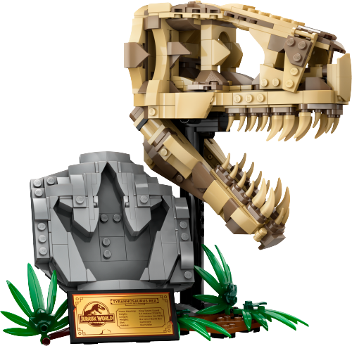 76964 Dinosaur Fossils: T. rex Skull Sets