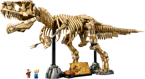 Dinosaur Fossils: Tyrannosaurus rex Sets