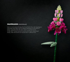 LEGO 10280 instructions page 3 – build guide