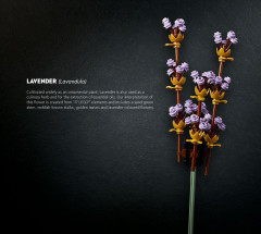 LEGO 10280 instructions page 4 – build guide