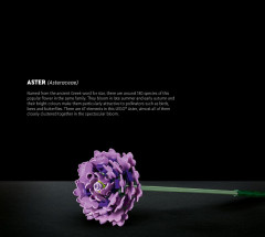 LEGO 10280 instructions page 5 – build guide