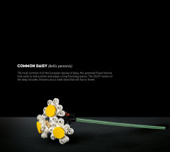 LEGO 10280 instructions page 6 – build guide