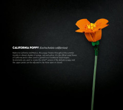 LEGO 10280 instructions page 7 – build guide