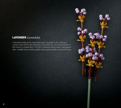 LEGO 10280 instructions page 4 – build guide