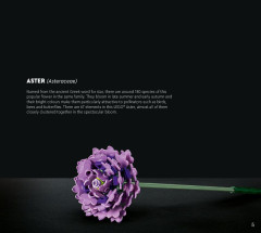 LEGO 10280 instructions page 5 – build guide