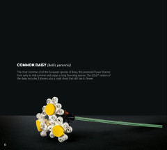 LEGO 10280 instructions page 6 – build guide