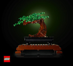 LEGO 10281 instructions page 1 – build guide