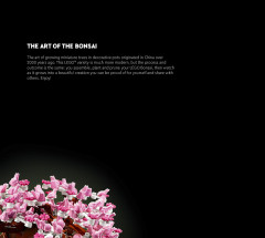 LEGO 10281 instructions page 2 – build guide