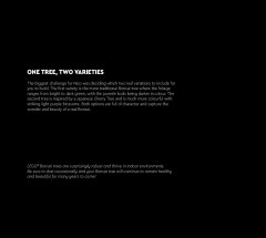 LEGO 10281 instructions page 4 – build guide