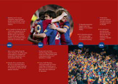 LEGO 10284 instructions page 14 – build guide