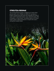 LEGO 10289 instructions page 4 – build guide