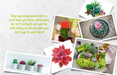 LEGO 10309 instructions page 3 – build guide