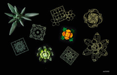 LEGO 10309 instructions page 40 – build guide