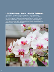 LEGO 10311 instructions page 2 – build guide