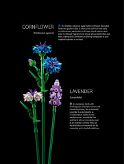 LEGO 10313 instructions page 17 – build guide