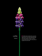 LEGO 10313 instructions page 30 – build guide