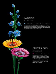 LEGO 10313 instructions page 38 – build guide