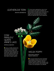 LEGO 10313 instructions page 6 – build guide