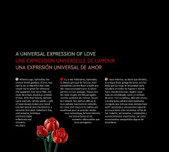 LEGO 10328 instructions page 4 – build guide