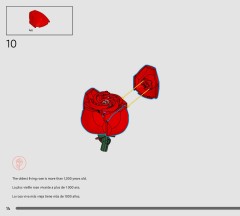 LEGO 10328 instructions page 14 – build guide