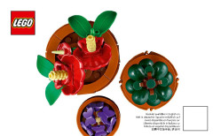 LEGO 10329 instructions page 1 – build guide