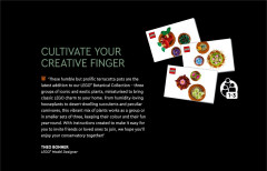 LEGO 10329 instructions page 5 – build guide