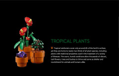 LEGO 10329 instructions page 6 – build guide