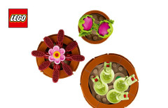 LEGO 10329 instructions page 1 – build guide