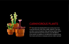 LEGO 10329 instructions page 2 – build guide