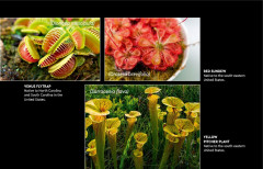 LEGO 10329 instructions page 3 – build guide