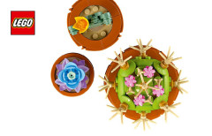 LEGO 10329 instructions page 1 – build guide