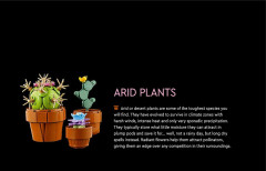 LEGO 10329 instructions page 2 – build guide