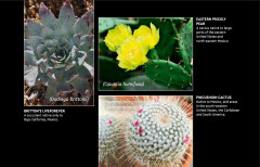 LEGO 10329 instructions page 3 – build guide