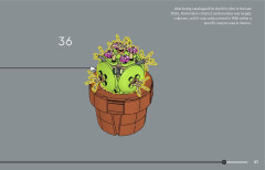 LEGO 10329 instructions page 41 – build guide