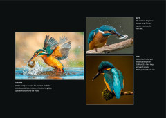 LEGO 10331 instructions page 5 – build guide